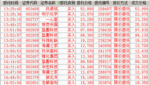 换手率直播，实时市场动态数据洞察揭秘