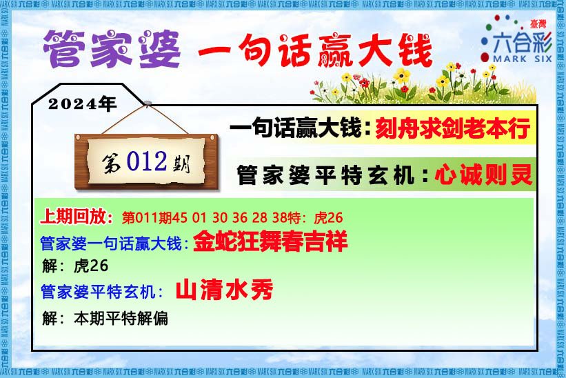 2004管家婆一肖一码澳门码,重要性解释落实方法_Phablet16.953