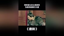 唐砖免费在线观看，历史与现代的交融之美