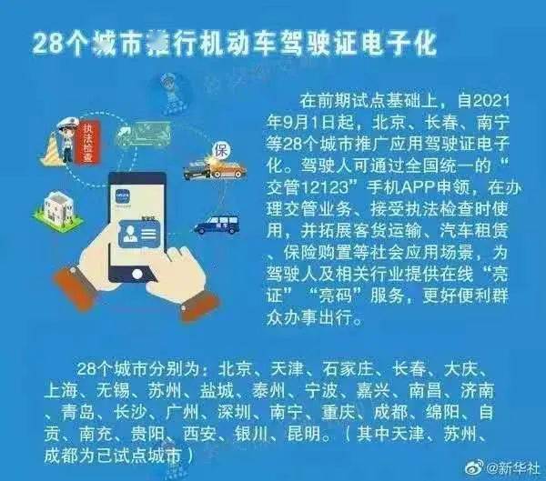 2024新奥正版资料免费,战略性实施方案优化_游戏版91.185