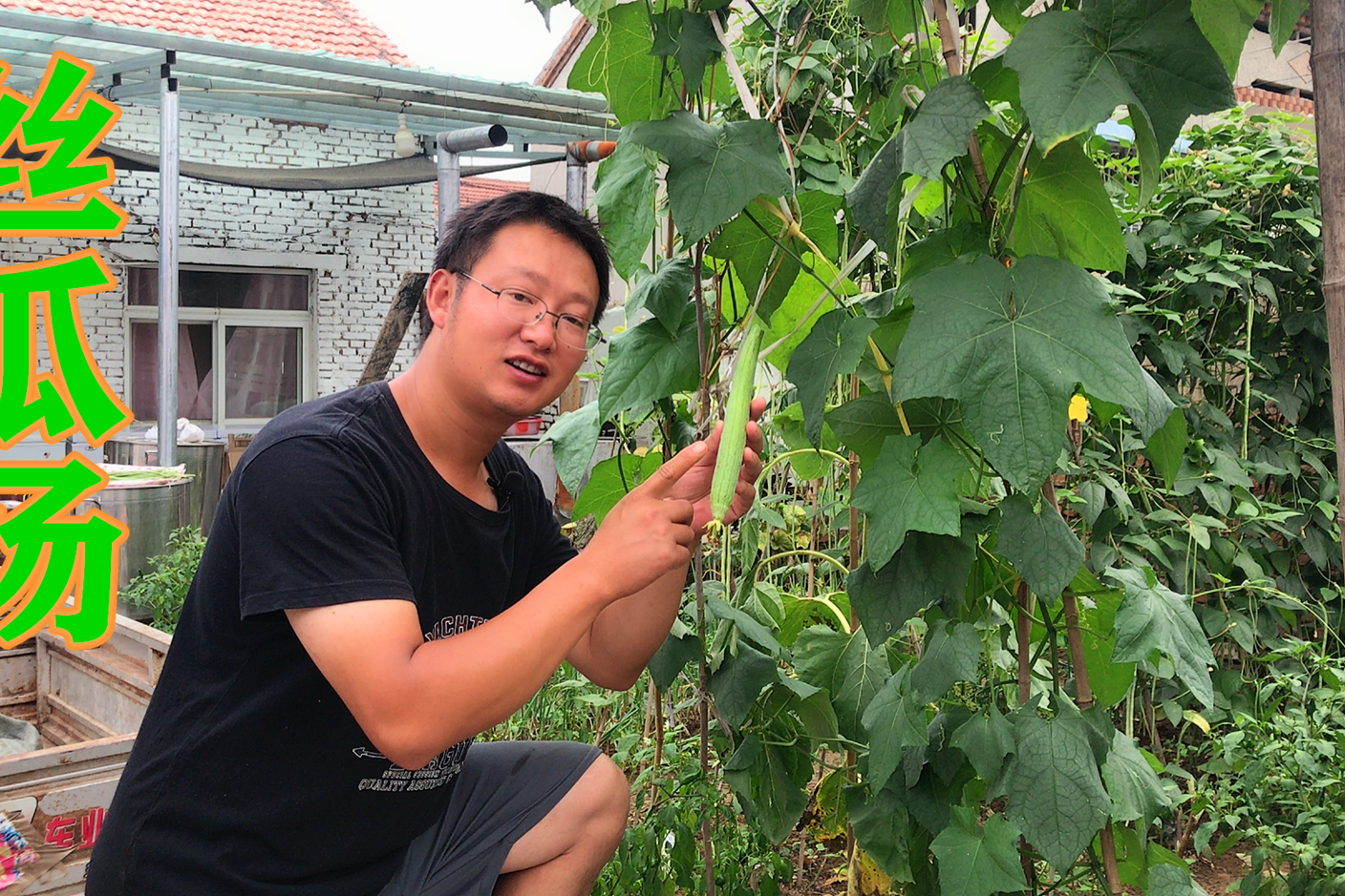 数字时代娱乐新风尚，在线丝瓜视频探索之旅