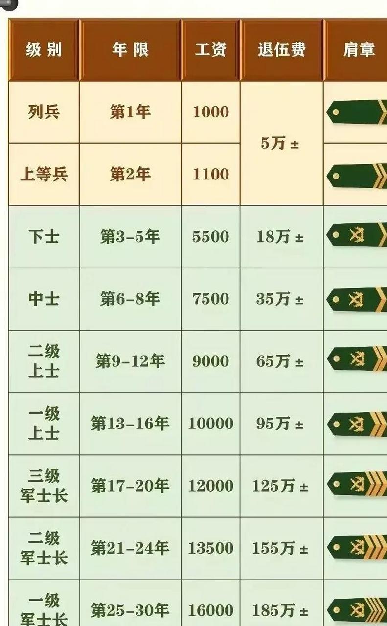 2025部队工资大幅上涨,数据导向实施步骤_VR版63.674