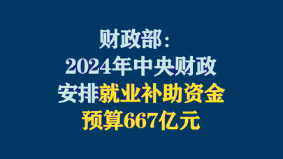 2024香港正版资料免费大全精准,全面数据策略实施_BT81.667