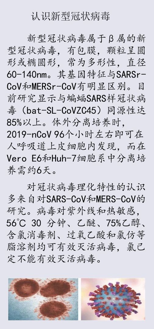 2024年11月份新病毒,经典解读说明_战斗版90.742