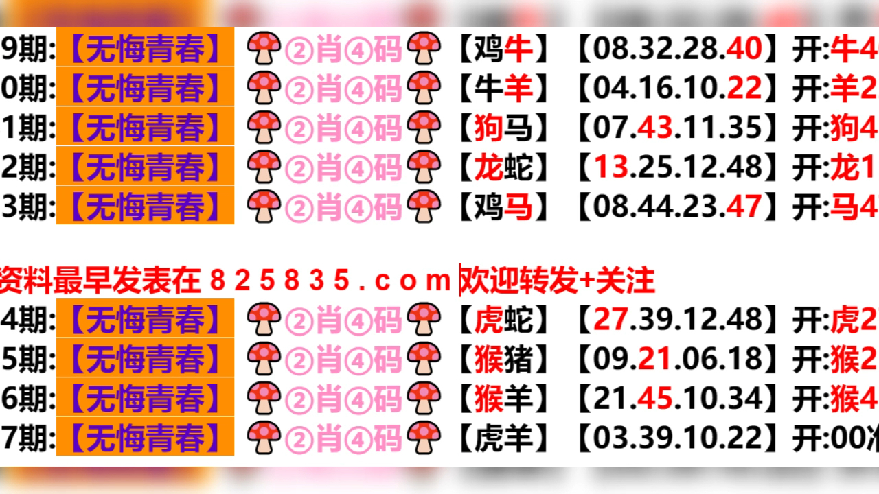 2024年新奥门天天开彩,最佳精选解释落实_macOS60.639