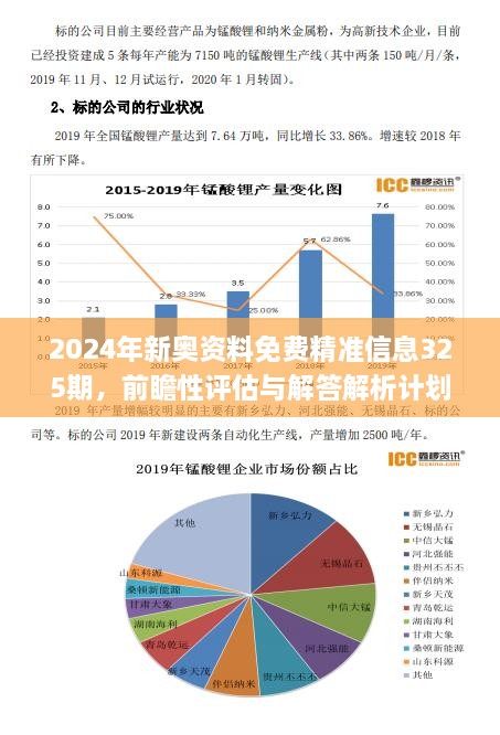 新奥2024年全年资料,深度解答解释定义_P版65.267