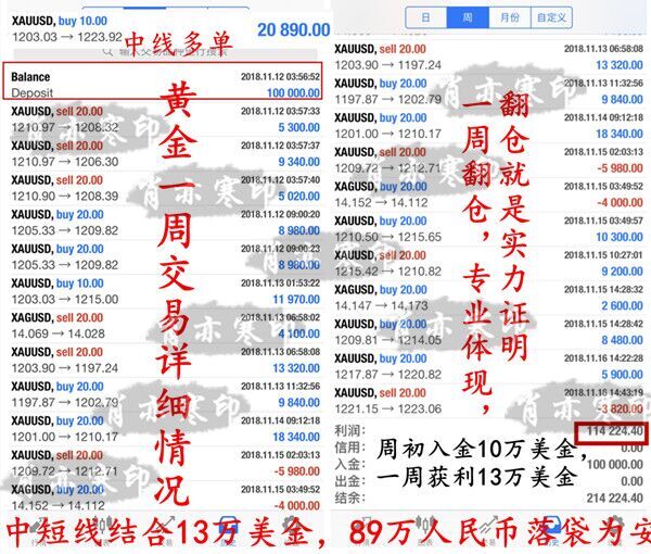 最准一码一肖100%凤凰网,数据资料解释落实_黄金版19.830