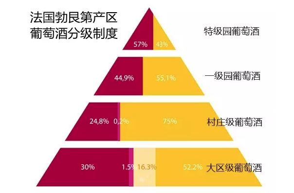 2024澳门今天特马开什么,结构解答解释落实_soft38.907