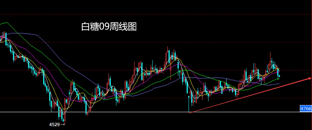 白小姐449999精准一句诗,市场趋势方案实施_U86.644