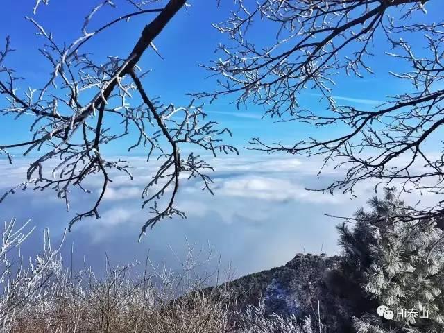 仙境幻想全新篇章开启，探索神秘世界的冒险之旅