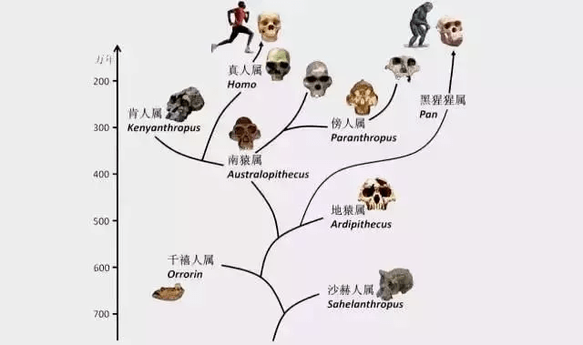 广东八二站82157cpm,动态调整策略执行_体验版63.474