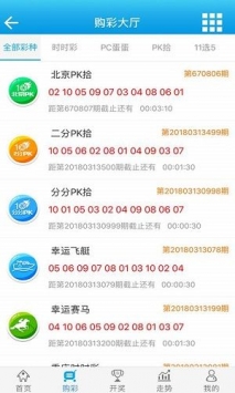 新澳门王中王100%期期中,安全性方案解析_WP31.751