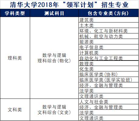 夜色中的猫