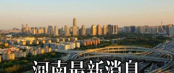 河南本土最新发展动态概览