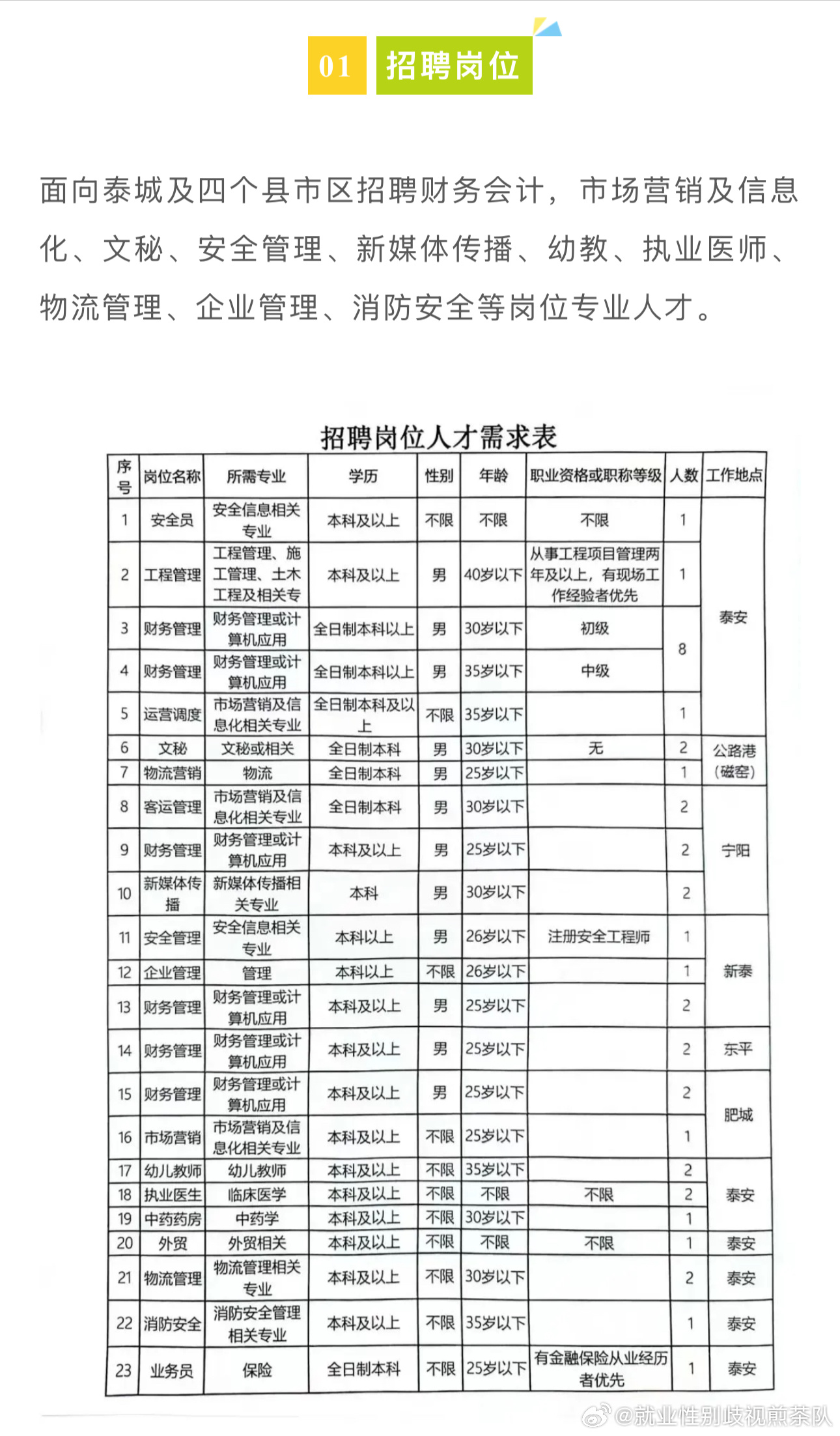 金州区人民政府办公室最新招聘通告概览