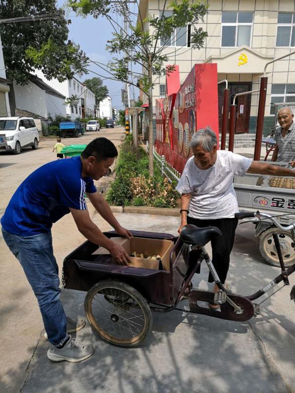 新乡现代养鸡业新篇章，探索最新养鸡技术