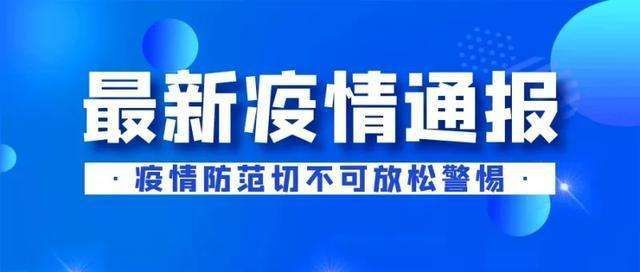 网易最新疫情报告深度解析及应对策略