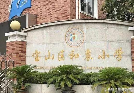 宝山区小学发展规划概览