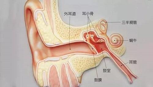 耳耵聍研究最新进展揭秘